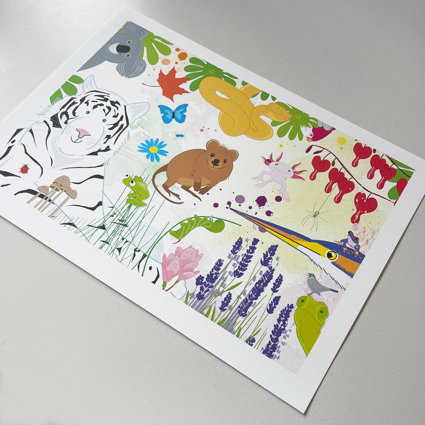 A1 Prints / Framed Prints