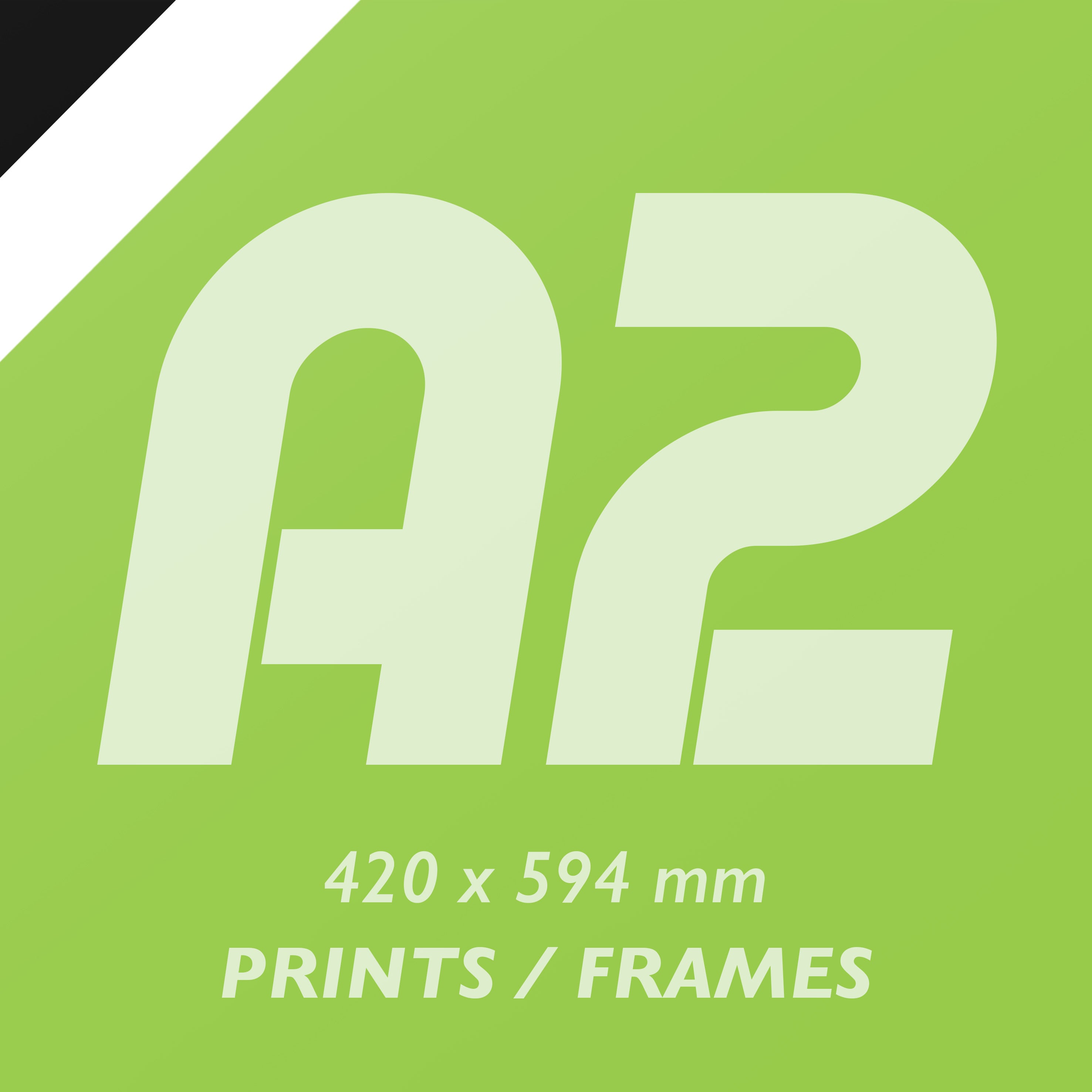 A4, A3, A2, A1 picture framing, high quality photo print & frame