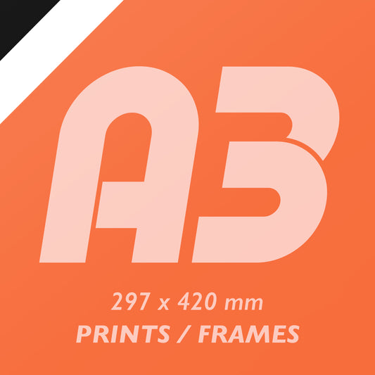 A3 Giclée Prints / Frames