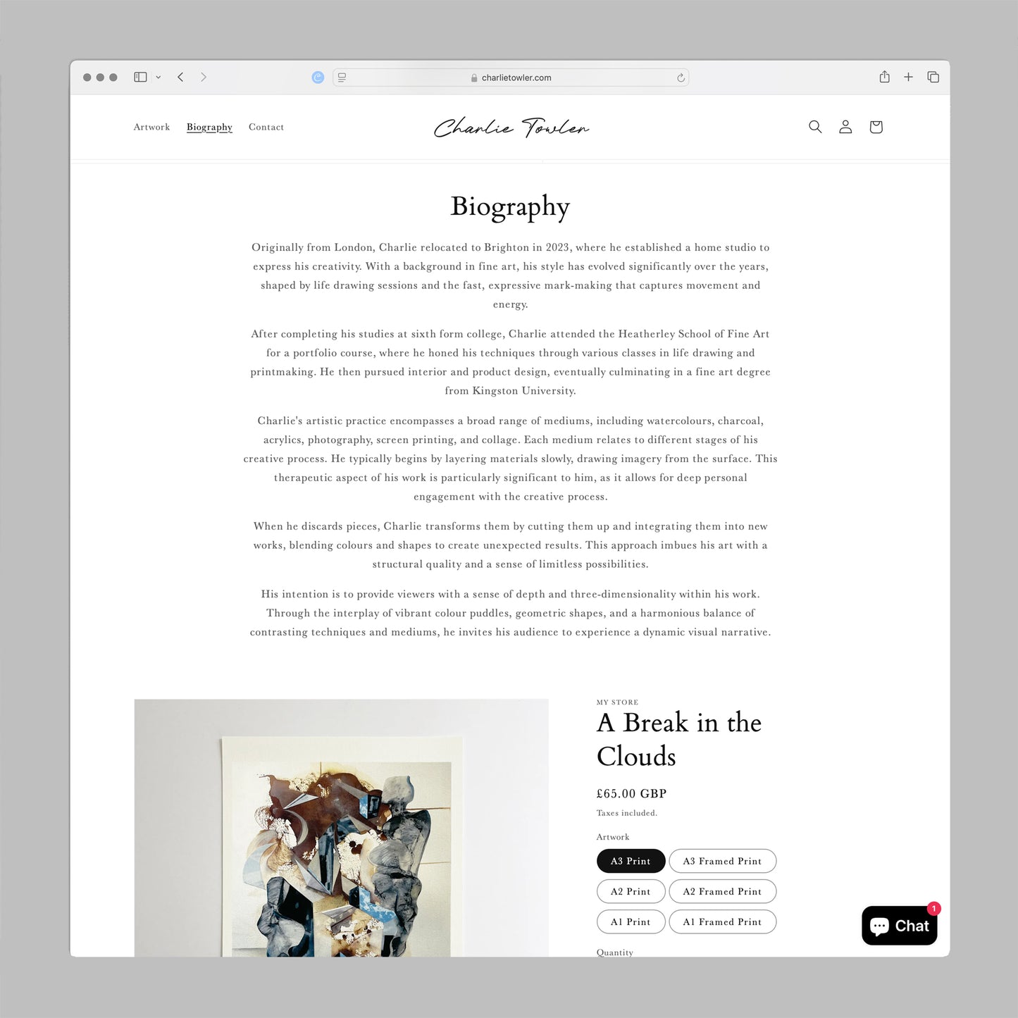 Artists Shopify Stores