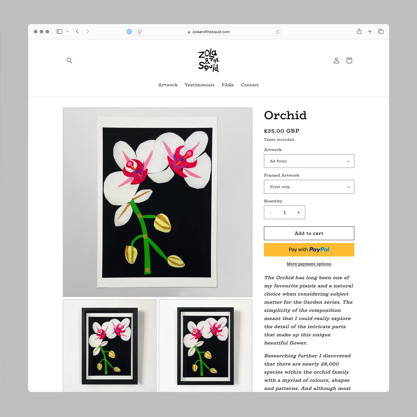 Artists Shopify Stores